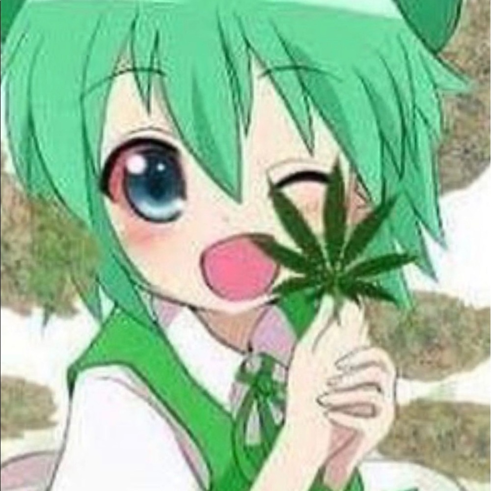 Meet your Posher, Phoebe